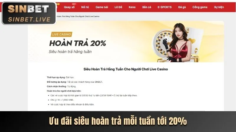 Ưu đãi hoàn trả tiền thua cược